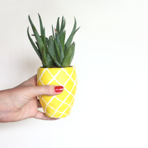 DIY Succulent Pineapple Planter
